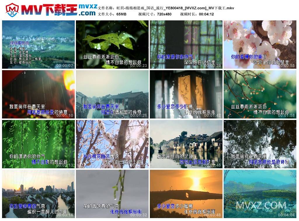旺玥-绵绵相思雨_国语_流行_YE800418